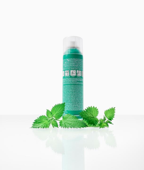 Actual product image Klorane Trockenshampoo Brennnessel getönt (150 ml, Dry shampoo)