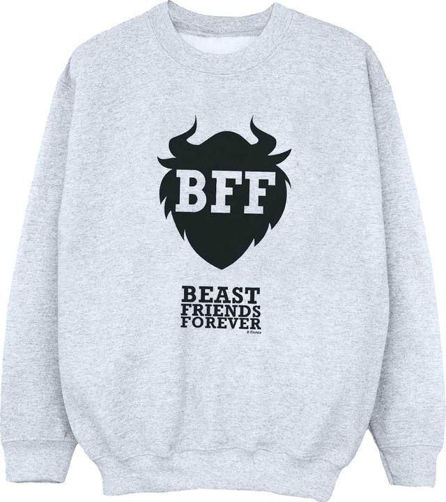 Actual product image Disney Womens/Ladies Wreck It Ralph Belle's Shirt Sweatshirt (M)