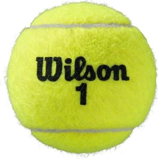 Immagine prodotto Wilson Roland Garos All Court 4