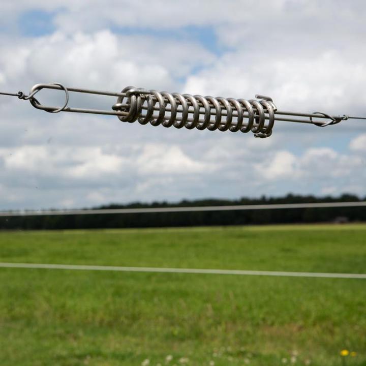 Actual product image Gallagher Wire spring