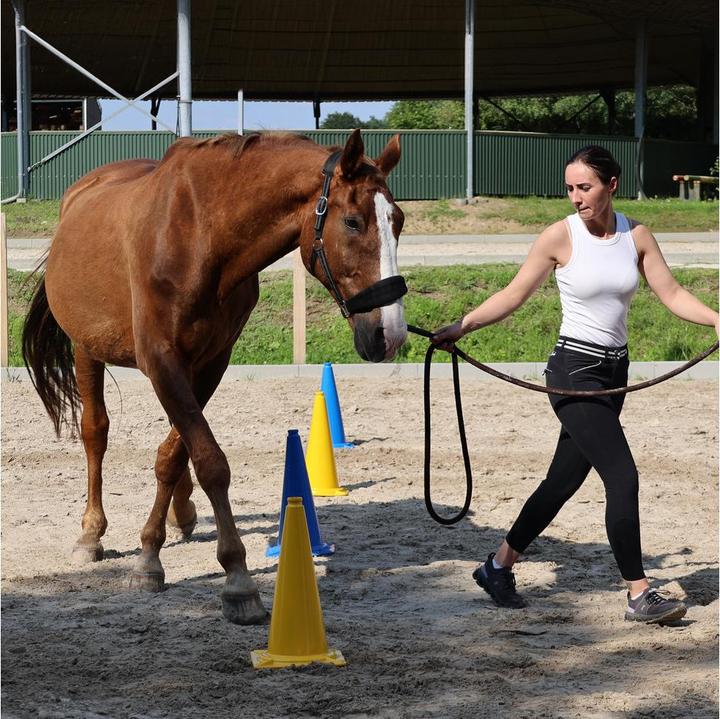 Produktbild Dönges XXL-Pylonen 10er-Set