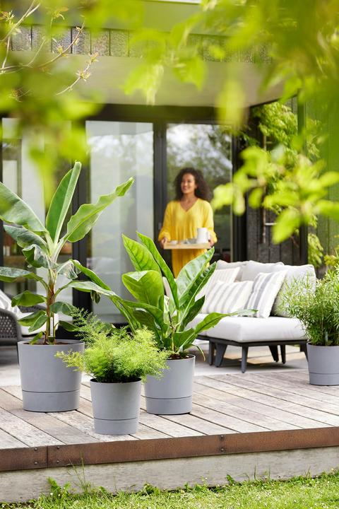 Actual product image Elho Blumenschale (30 cm)