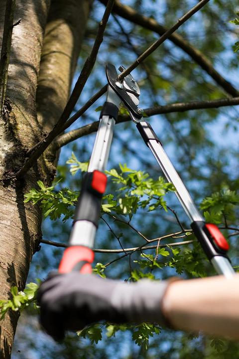 Produktbild Meister Astschere Amboss, 2K, teleskopierbar