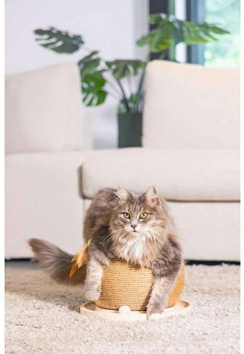 Produktbild Designed by Lotte Mila (Braun, Natur, Sandbraun)