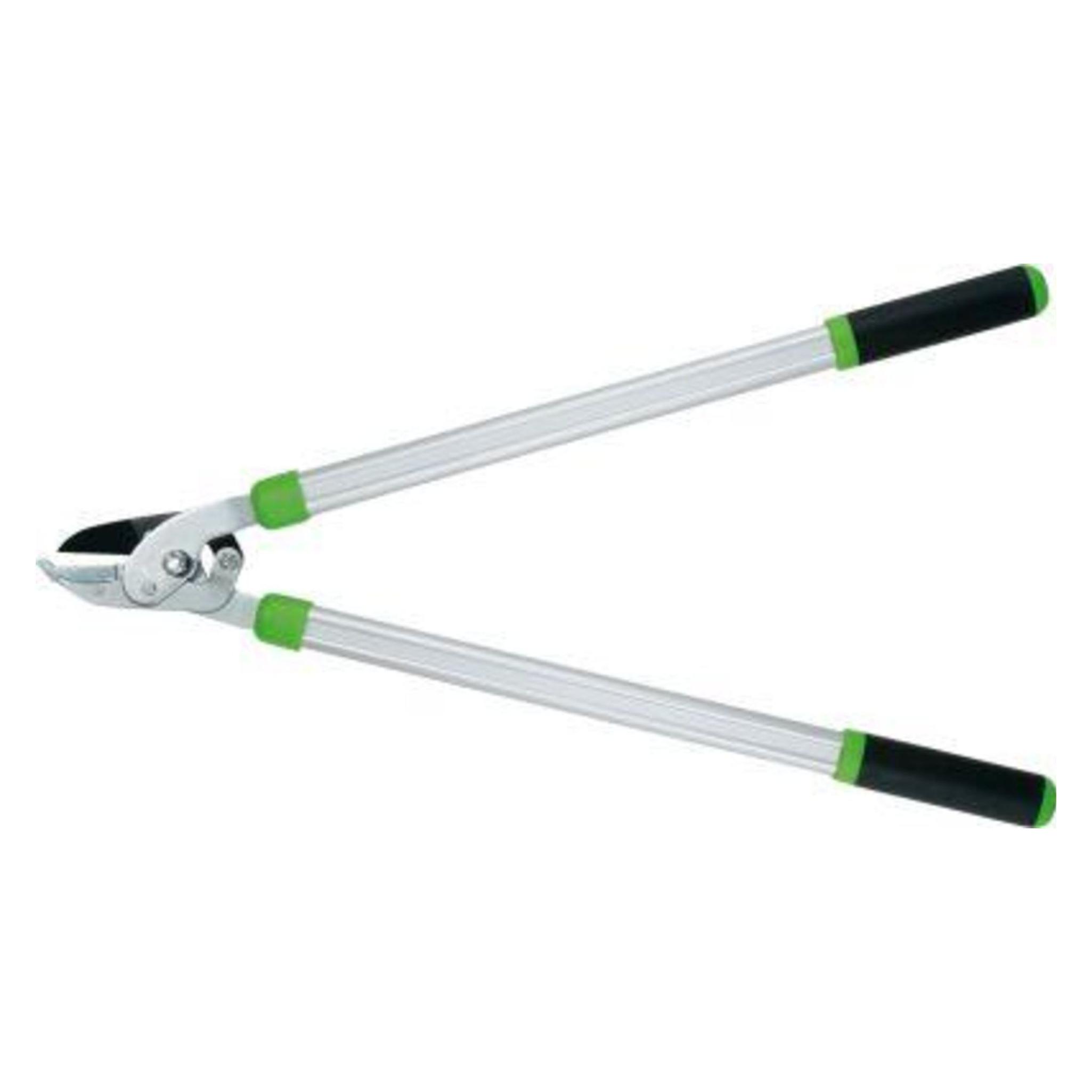 Freund, Snoeischaar, Takschaar 135 A