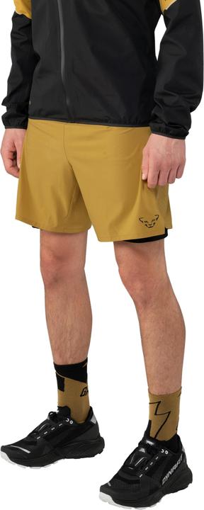 Produktbild Dynafit ALPINE PRO 2/1 SHORTS, Herren (XL)