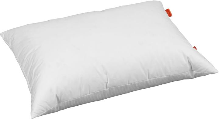 Image du produit Billerbeck ClimaControl (65 x 65 cm)