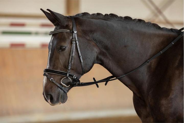 Immagine prodotto Kerbl Redini dell'imbracatura