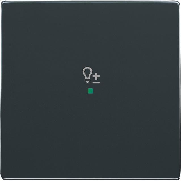 Busch-Jaeger, Programma di commutazione degli accessori, Bilanciere Busch-Jäger a 1 piega, con simbolo "Dimmer" 6234-10-81