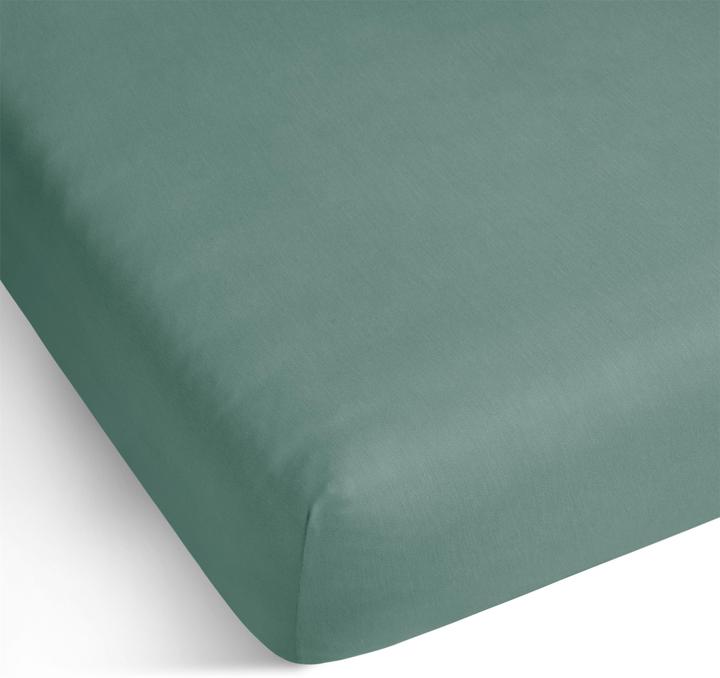 Actual product image Aspero Natal cotton fitted sheet - 8476 (140 x 200 x 25 cm)
