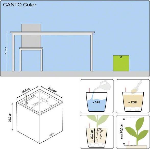 Produktbild Lechuza Canto (30 x 30 x 30 cm)