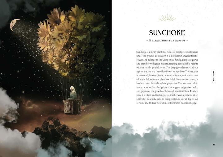 Produktbild Lattari:Kräuterkraft & Hexenmacht (Deutsch, Cecilia Lattari, 2024)