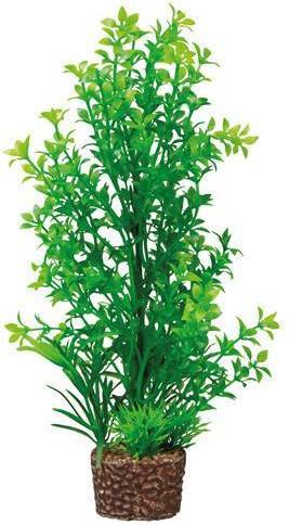 Produktbild Hobby Flora Stone 6 (Dekoration, Pflanzen)