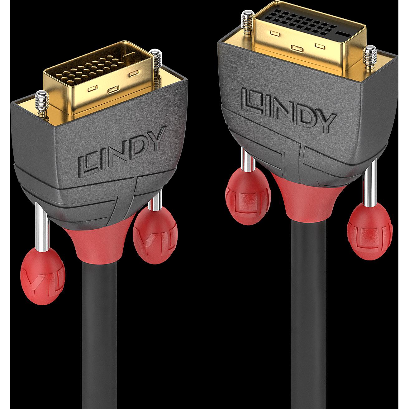 Lindy Dvi — Dvi (2 m, DVI), Video Kabel