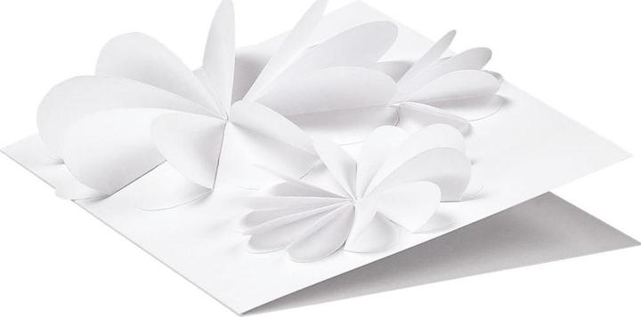 Productafbeelding Folia Fotokarton (300 g/m², 50 x)