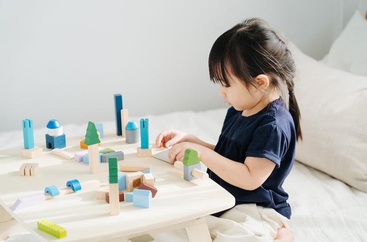 Image du produit Plantoys Blocs construction ville pcs