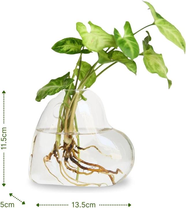 Immagine prodotto Hermex Stehende Glasvase Herzform Blumenvase Vase Dekoration (1 x, 13,5 x 5 x 11,5 cm)