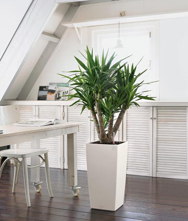 Actual product image Lechuza Cubico Color (29.50 cm)