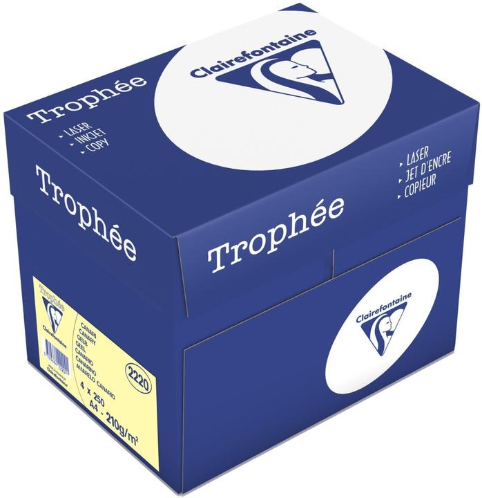 Produktbild Clairalfa Multifunktionspapier Troph‚e, A4, gelb (A4, 250 Blätter)