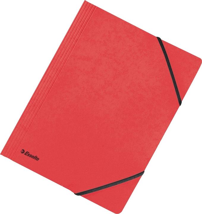 Actual product image Esselte Flap Folder (A4, 1x)