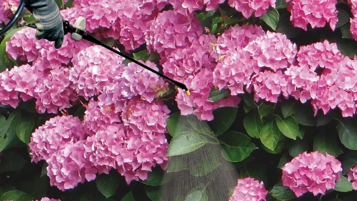 Actual product image Matabi Spray backpack Evolution 84941 16 L (16 l)