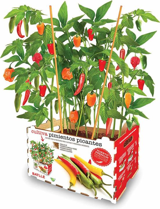 Semillas Batlle Batlle spicy peppers box. c (Früchtesamen)