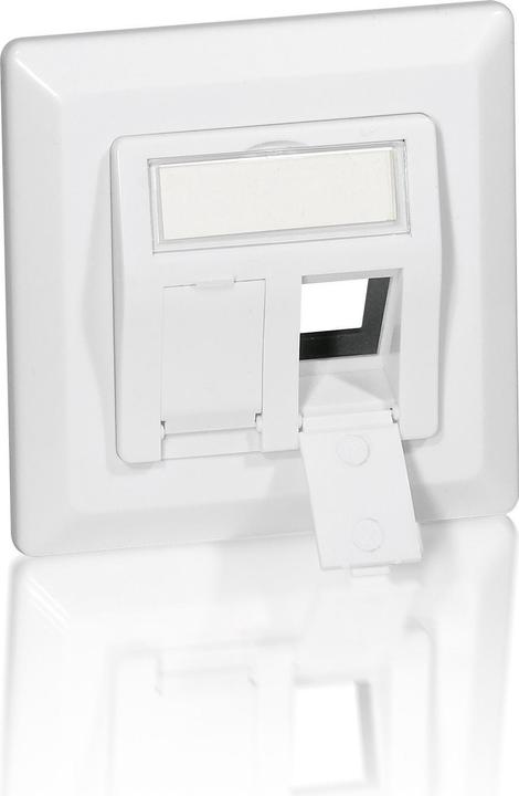 Actual product image equip Flush-mounted box for 2 Keystones with cover and central plate pure white