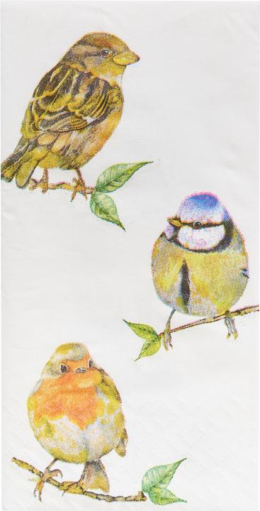 Image du produit Ambiente Mouchoirs en papier "Birds (10x)