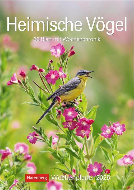 Produktbild Harenberg Heimische Vögel Wochenplaner 2025 - 53 Blatt mit Wochenchronik