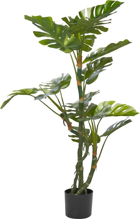 Immagine prodotto Beliani Monstera Plant (135 cm)