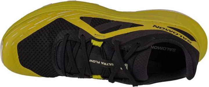 Image du produit Salomon Chaussures Ultra Flow (42)