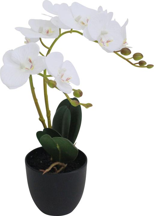 Paperflow meet powered by ORCHIDEE Kunstpflanze 40,0 cm (40 cm)