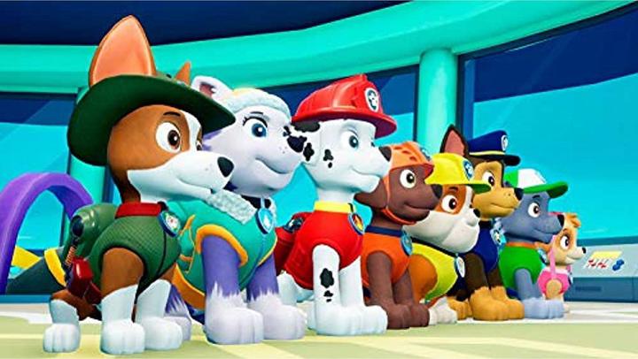 Immagine prodotto Game PAW Patrol: On a Roll (Import) (Switch)