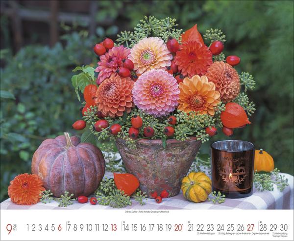 Produktbild Traumhafte Grten 2026