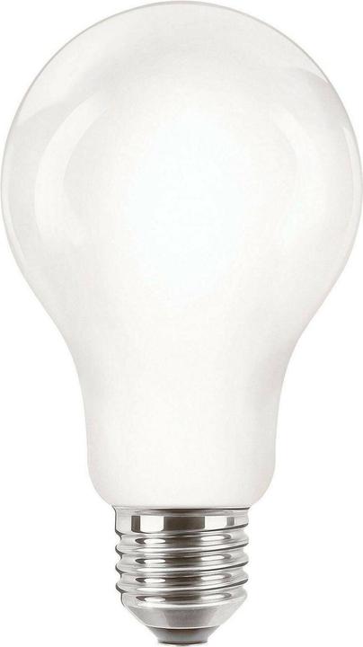 Actual product image Philips Professional CorePro (E27, 2000 lm, 1x)