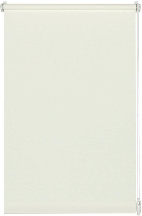 300 Bianco