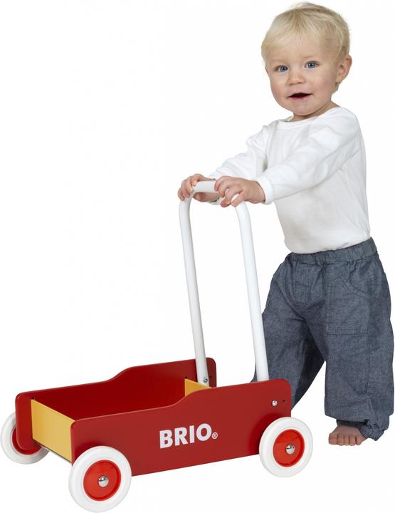 Actual product image Brio Toddler