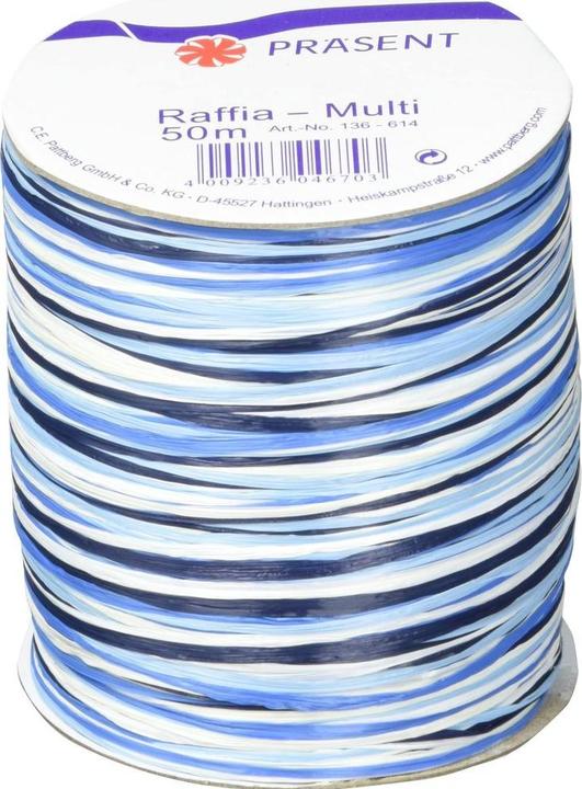 Actual product image Präsent Raffia Multi (1x)