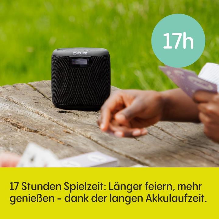 Immagine prodotto Pure Mini bosco (DAB, FM, Bluetooth)