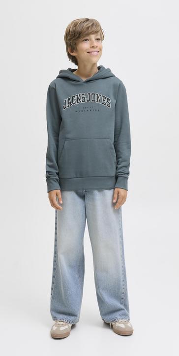 Produktbild Jack & Jones Jjecaleb Varsity Sweat Hood Noos Jnr (176)