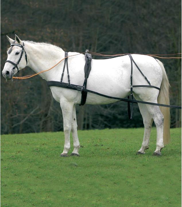Actual product image Waldhausen Single harness Economic