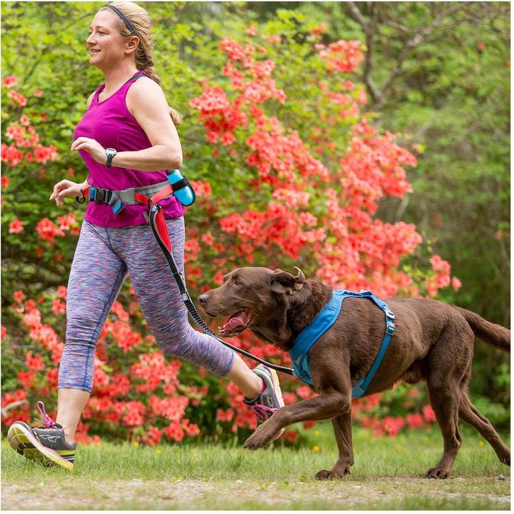 Actual product image Kurgo K9 Excusion Running Belt (68, 80, 85, 90, 95, 100, 104, 105, 110, Dog, Dog sport)
