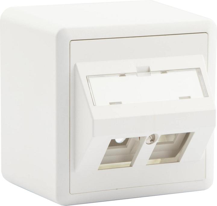 Actual product image Dätwyler Network socket AP54 2x Keystone 1 piece