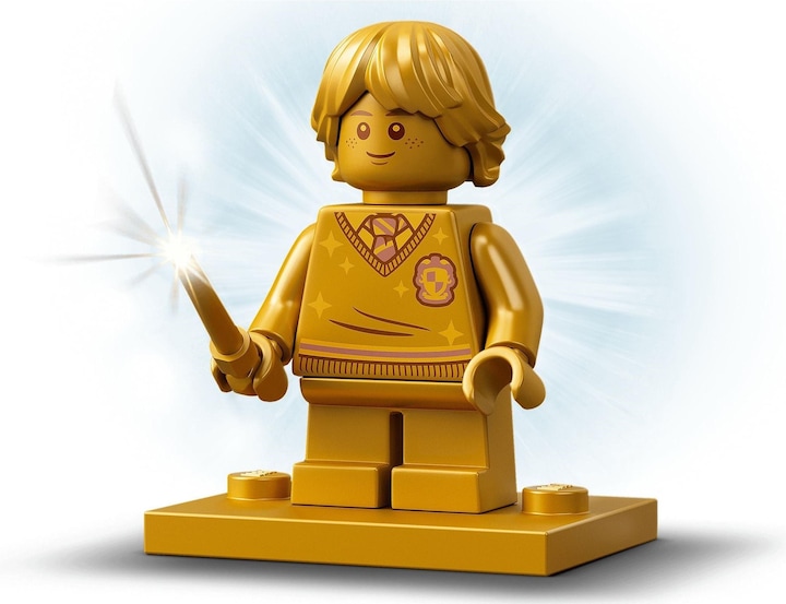 Image du produit LEGO Visite du village de Pré-au-Lard (76388, LEGO Harry Potter)
