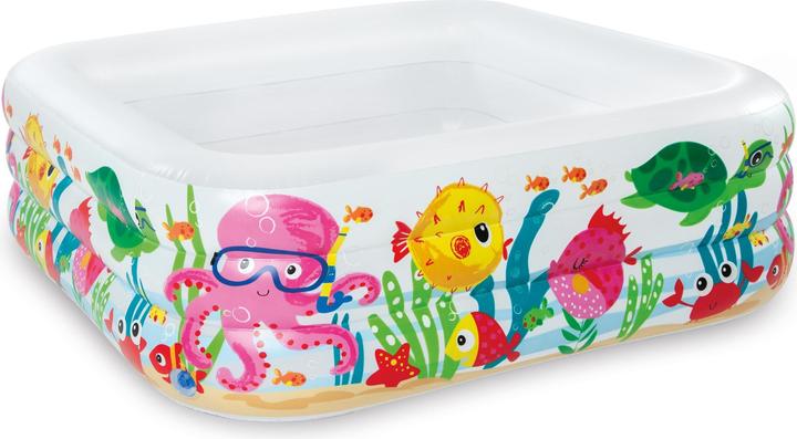 Image du produit Intex Centre de natation