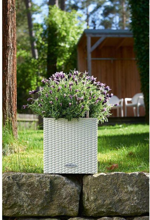 Produktbild Lechuza Cube Cottage 30 (29 x 29 x 30 cm)