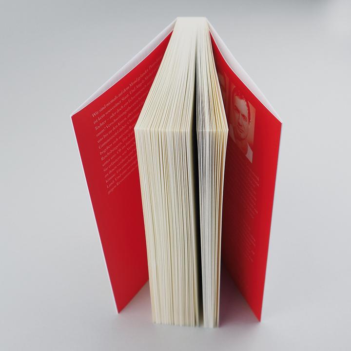 Actual product image Angela Merkel ist Hitlers Tochter. Im Land der Verschwörungstheorien (German, Christian Schiffer, 2018)