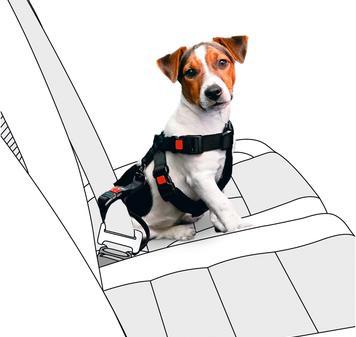 Produktbild Karlie Auto-Sicherheitsgeschirr Nylon (Hund, Sicherheitsverschluss)