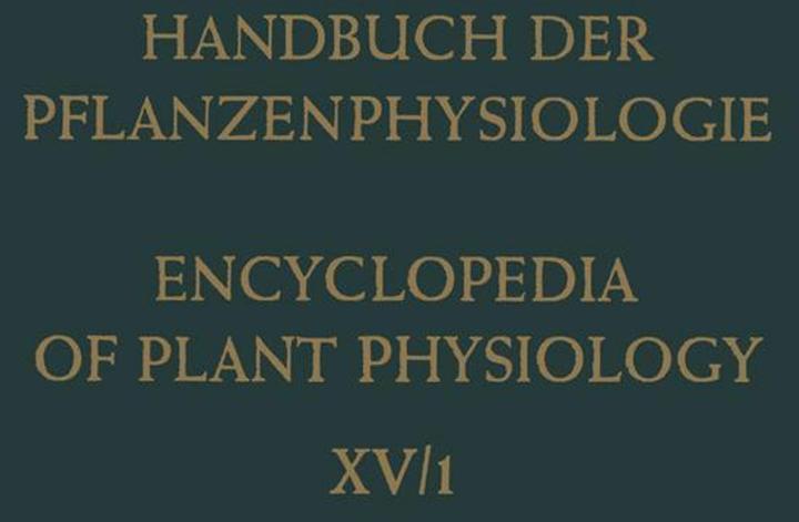 Produktbild Differentiation and Development / Differenzierung und Entwicklung (Deutsch, 1965)
