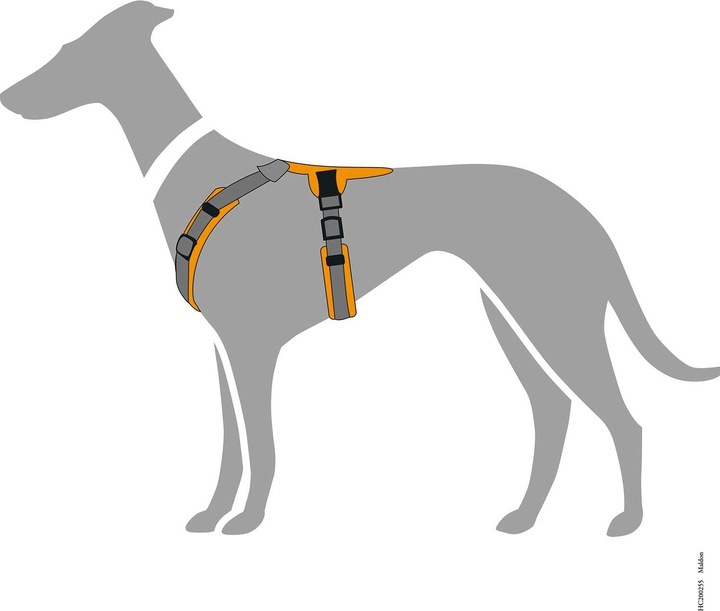 Actual product image Hunter Tableware Maldon (S, M, Dog, General)